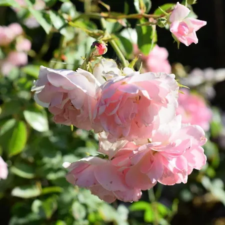 In Near Leonardo Museum Prázdninový dům Vinci