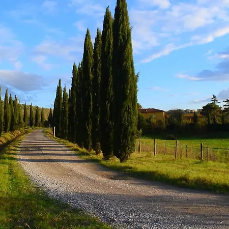 In Near Leonardo Museum * Vinci