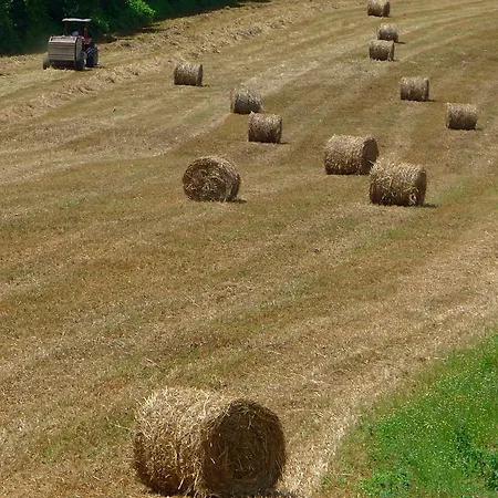 Beautiful In The Area Of *