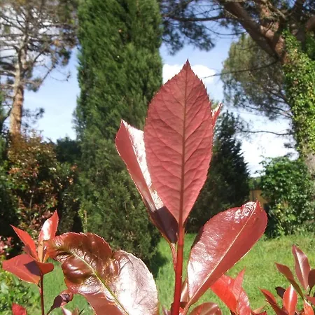Beautiful In The Area Of Holiday home Vinci