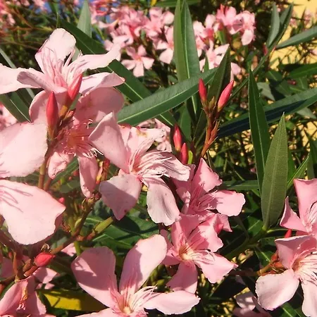 Beautiful In The Area Of Holiday home